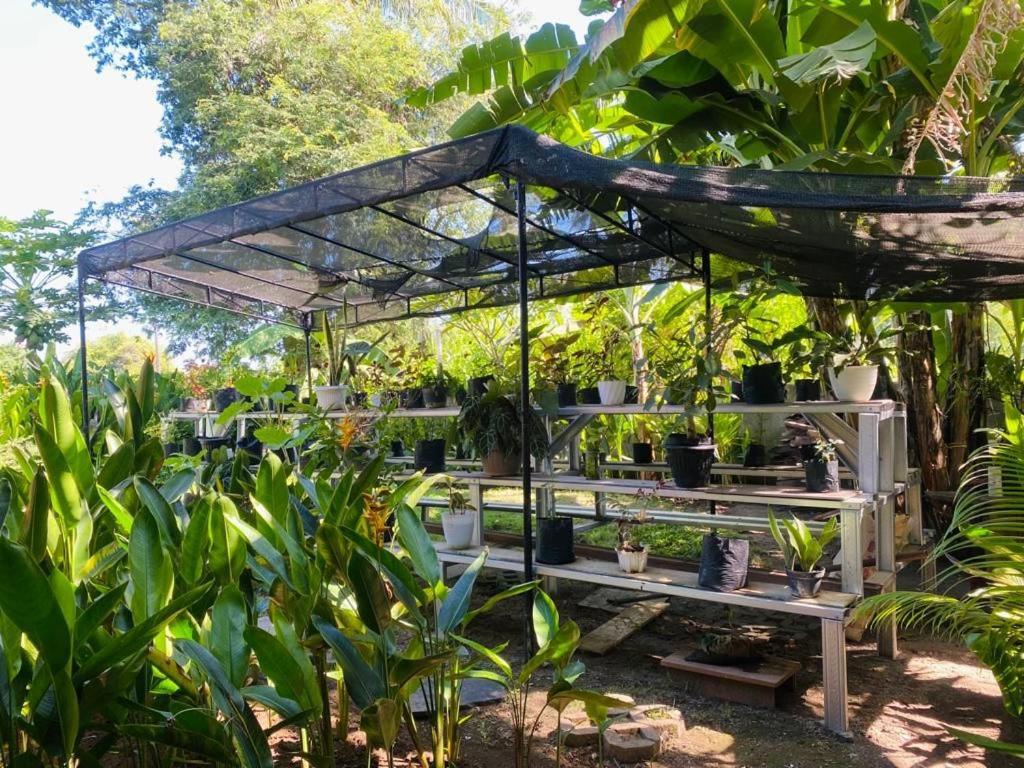 Готель Al-Shifa Healing House Lombok Гілі-Аїр Екстер'єр фото